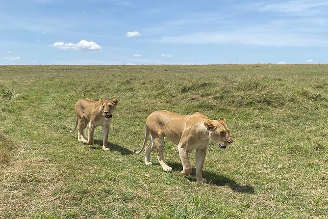 Nairobi National Park Group Shared Tour - Confirmation and Cancellation Policy