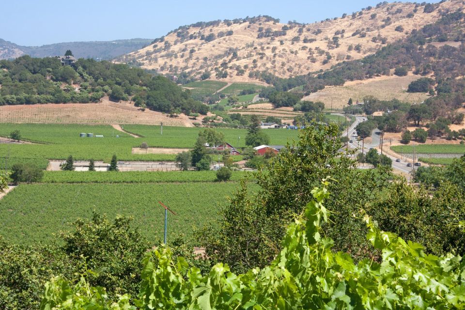 Napa Valley: Driver Service in North California Wine-Country - Napa Valley and Surrounding Regions