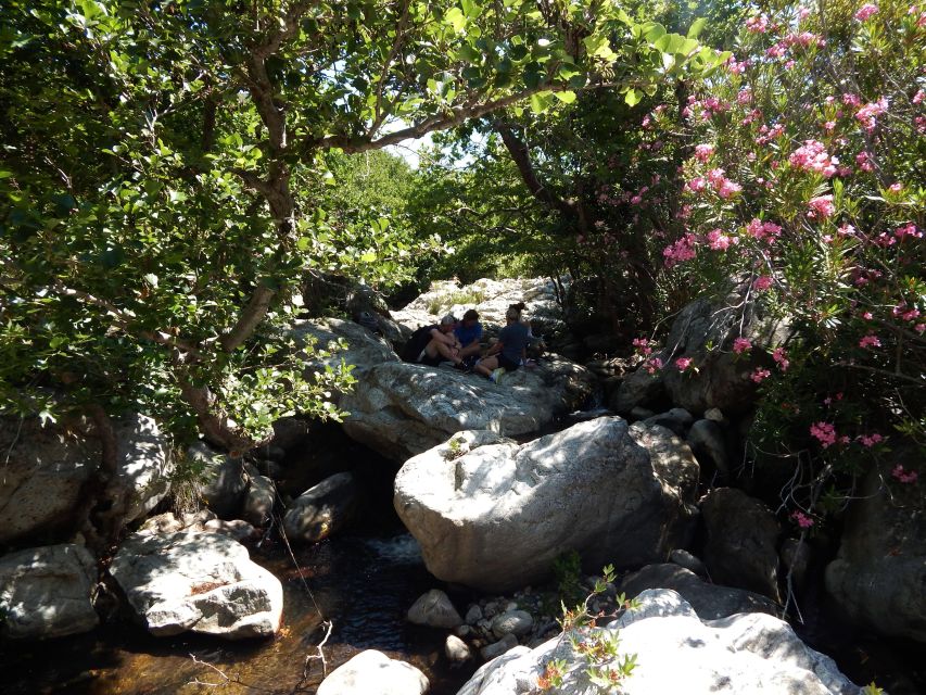 Naxos: a Riverbank Adventure (Kinidaros - Eggares Villages) - Riverbank and Stone Bridge