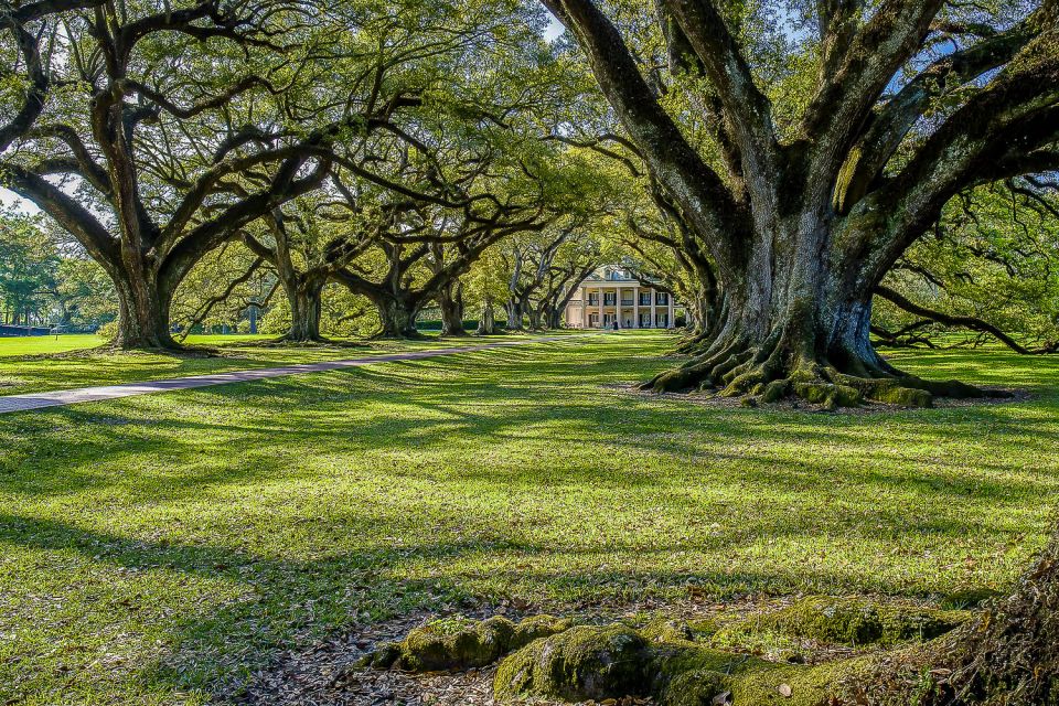 New Orleans: Oak Alley Plantation & Swamp Cruise Day Trip - Frequently Asked Questions