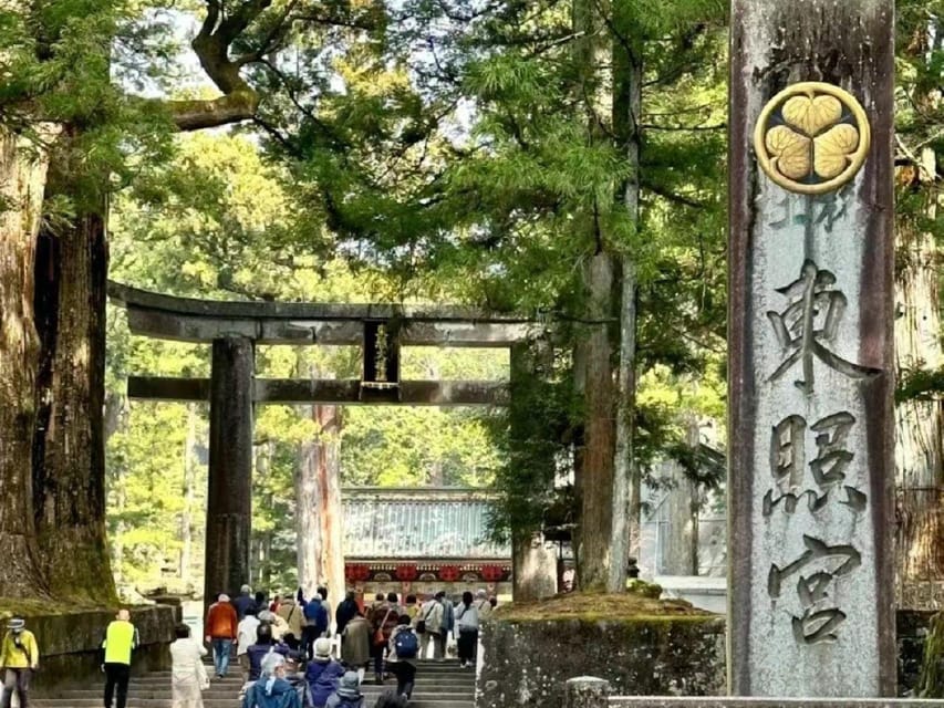 Nikko Toshugo Day Tour Review - Scenic Views and Winding Road