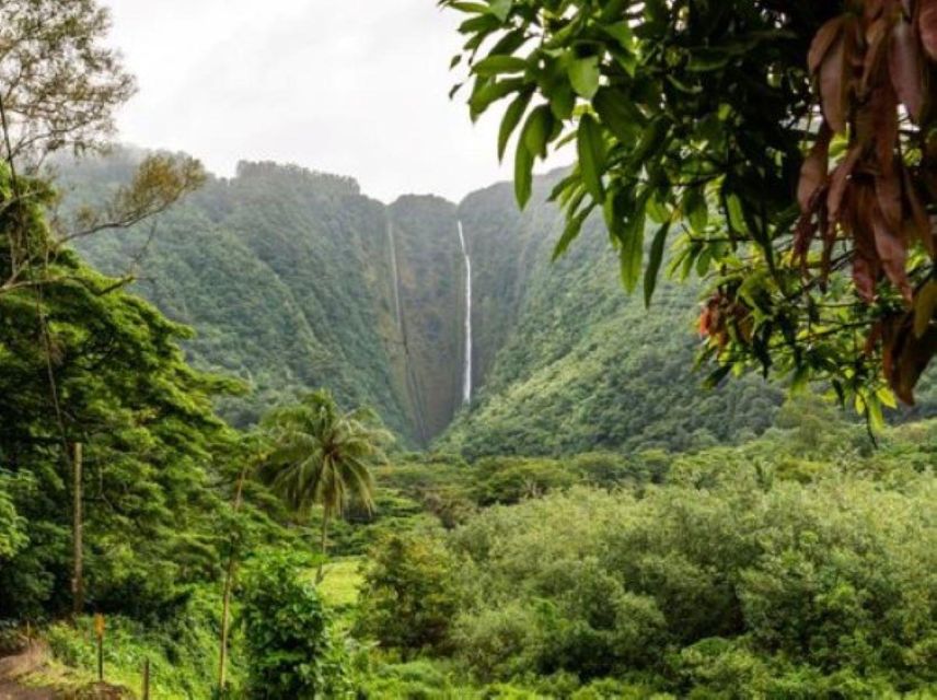 North Shore Haleiwa & Waimea Falls Valley Of The Priests! - Tour Inclusions