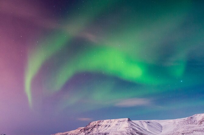 Northern Lights Boat Cruise From Reykjavik - Transportation Accessibility