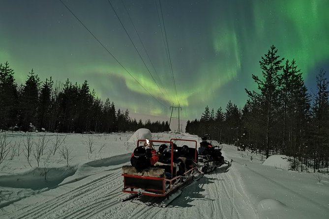 Northern Lights Sledge Ride - Customer Feedback