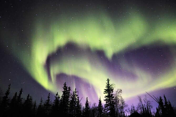 Northern Lights Tour Yellowknife - Accessibility and Group Size