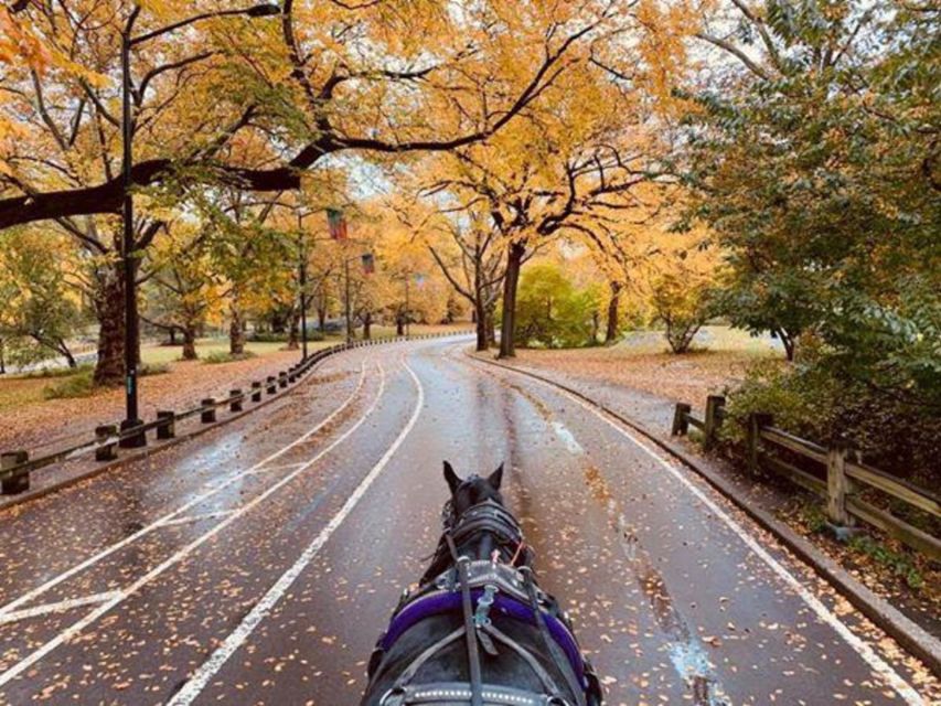 NYC: Central Park Horse-Drawn Carriage Ride (up to 4 Adults) - Iconic Landmarks Visited