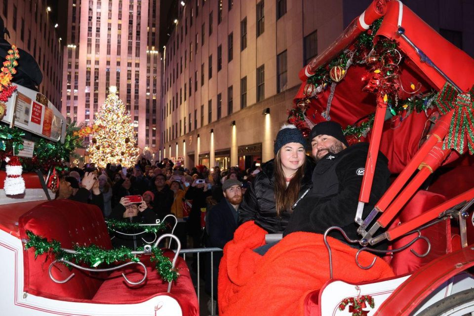 NYC: Magical Christmas Lights Carriage Ride (Up to 4 Adults) - Group Size and Capacity