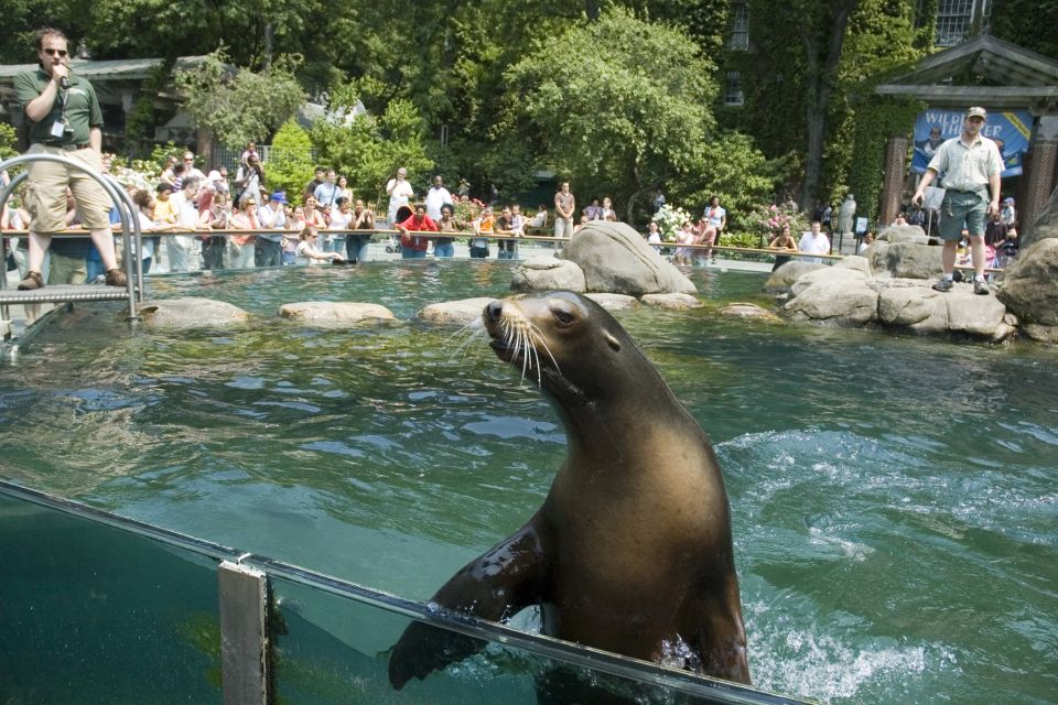 NYC: Visit Central Park Zoo & 30+ Top Sights Walking Tour - Customer Reviews