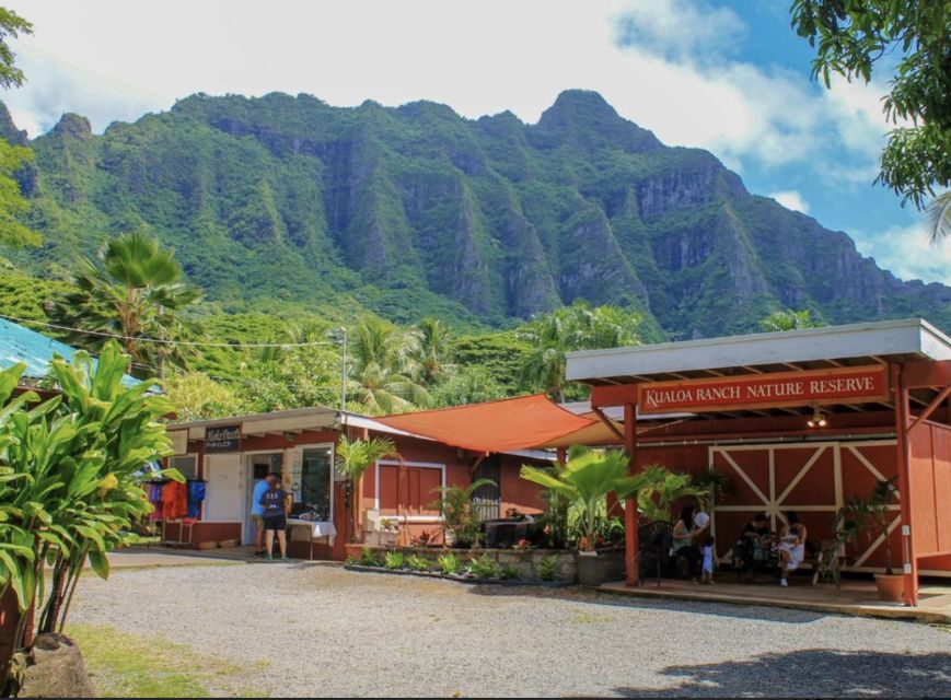 Oahu Hidden Gems & Waimea Botanical Garden/Waterfall Tour - Pali Lookout Panoramic Views