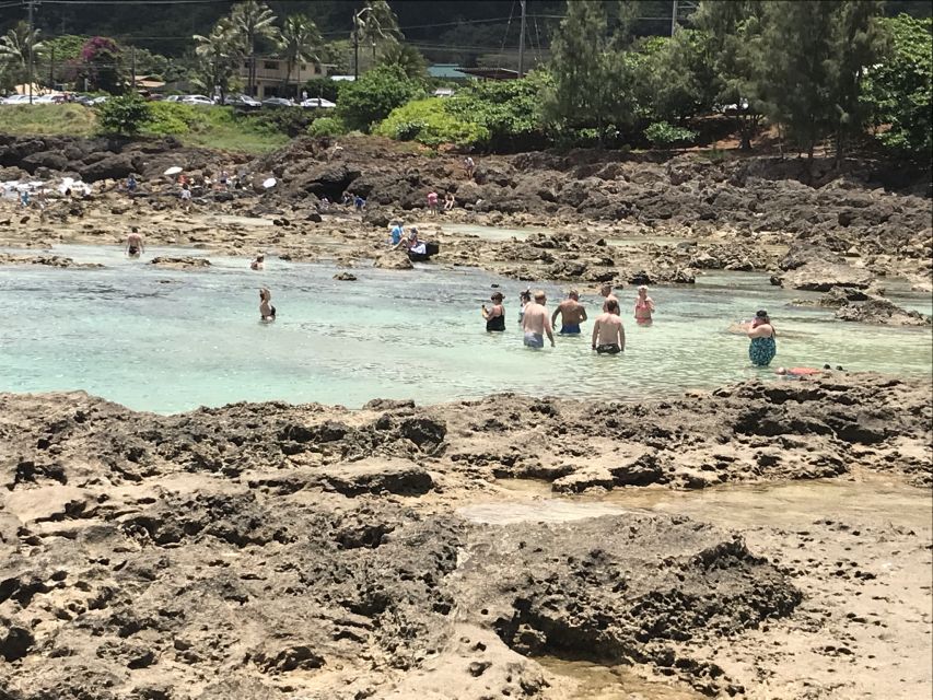 Oahu: Manoa Falls Hike and East Side Beach Day - Macadamia Nut Farm