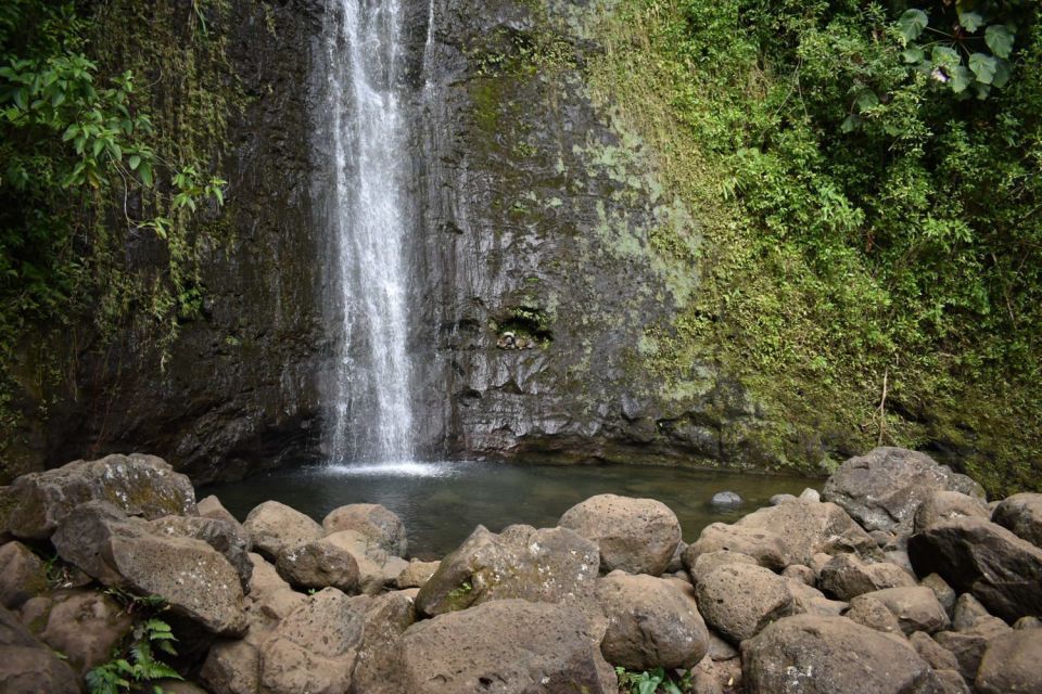 Oahu: Manoa Falls Waterfall Hike With Lunch and Transfers - Exploring the Manoa Valley