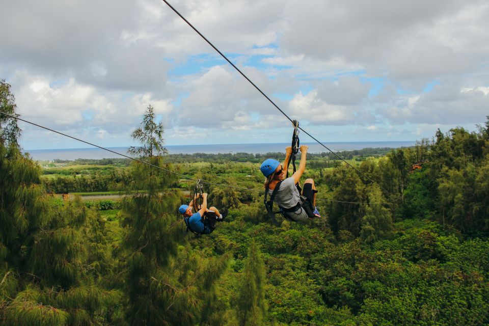 Oahu: North Shore Zip Line Adventure With Farm Tour - History, Culture, and Farming Insights