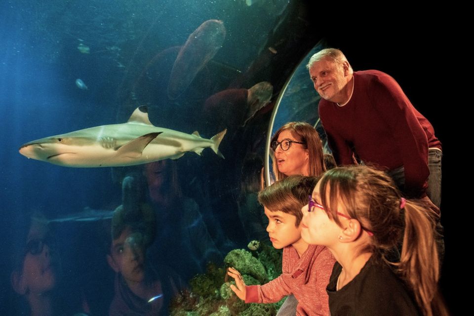 Oberhausen: LEGOLAND Discovery Centre and SEA LIFE Ticket - SEA LIFE Aquarium