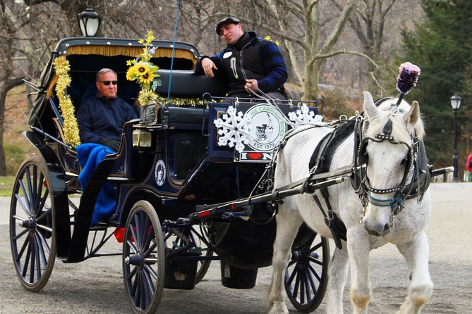 Official NYC Horse Carriage Rides in Central Park Since 1979 ™ - Unique Experiences and Offerings