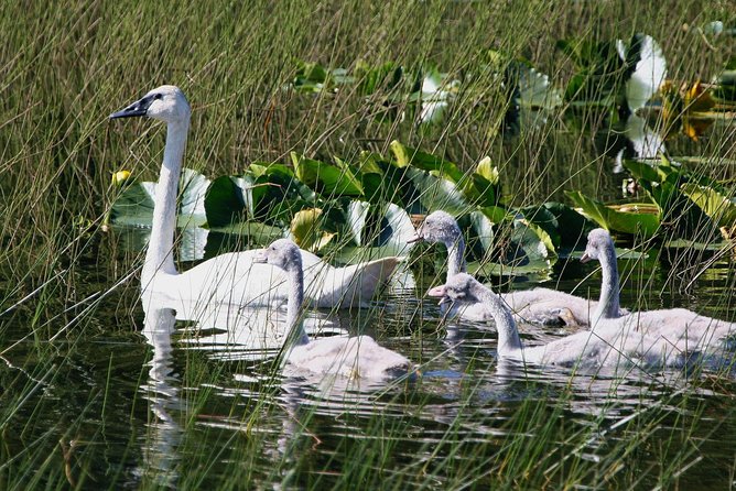 Okanagan Valley Discovery Tour - Rare Habitats Explored