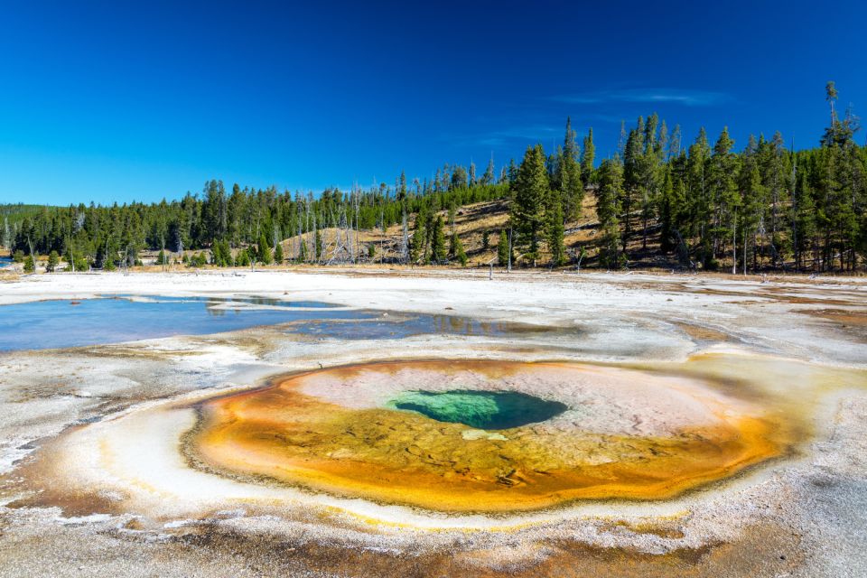 Old Faithful, West Thumb & Grand Prismatic Audio Tours - Highlights: West Thumb Geyser Basin