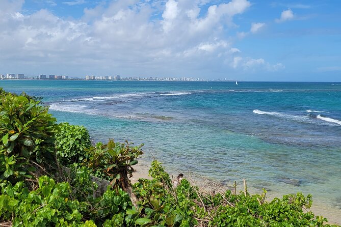 Old San Juan and Piñones Sightseeing Tour via Minibus - Exploration of Old San Juan