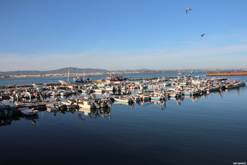 Olhão: 3 Islands Guided Sightseeing Tour With Lunch - Boat Features