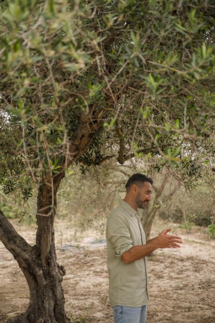 Olive Harvesting & Olive Oil Tasting - Food and Dietary Restrictions