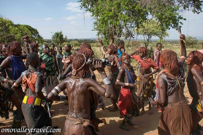 Omo Valley Tours - Booking and Contact Information