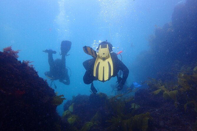 Open Water Diver Course in Arrabida Natural Park (Near Lisbon) - Preparing for the Adventure