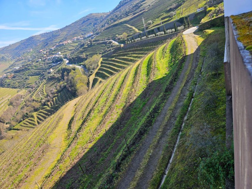 Oporto & Douro: 4x4 Amazing Tour and Wine Experiences - Inclusions and Additional Information