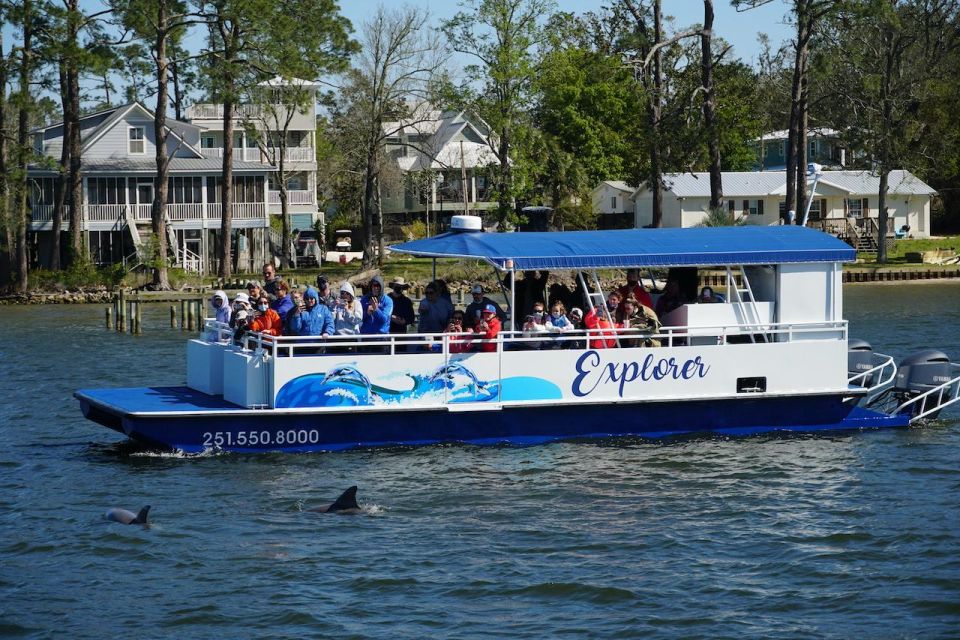 Orange Beach: Dolphin-Watching Sunset Catamaran Cruise - What to Bring