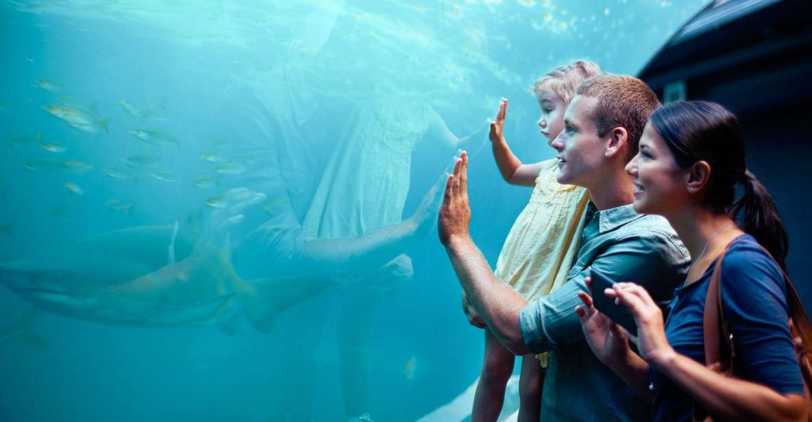 Orlando: SEA LIFE Orlando Aquarium - Educational Programs and Activities