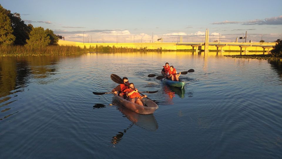 Orlando: Sunset Clear Kayak or Paddleboard in Paradise Tour - Observe Wildlife in Safety