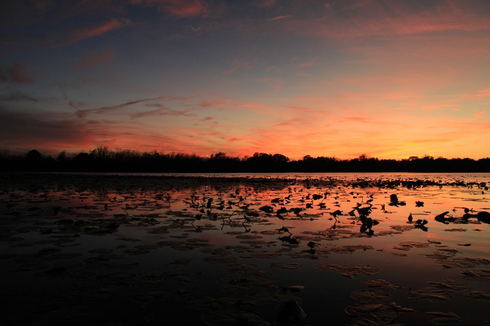 Orlando: Sunset Guided Kayaking Tour - Cancellation and Booking