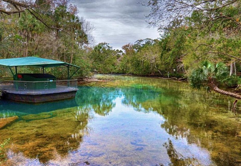 Orlando: Swim With Manatees and Homosassa State Park Visit - Transportation and Pickup