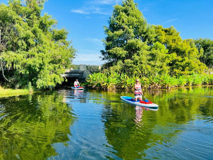 Orlando: Urban Clear Kayak or Paddleboard in Paradise - Post-Tour Activities