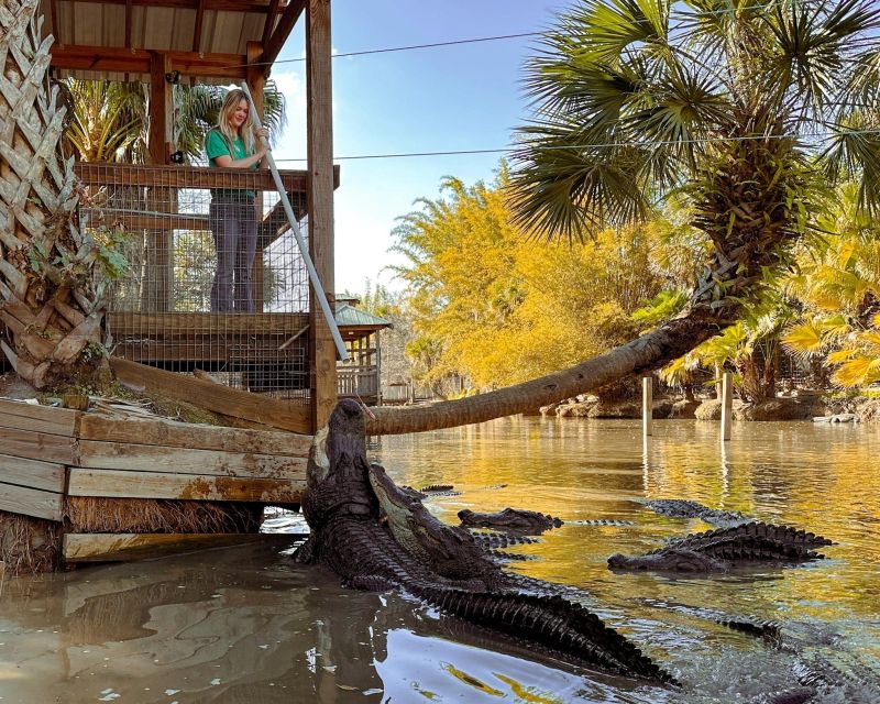 Orlando: Wild Florida Park, Gator Show & Animal Encounters - What to Expect