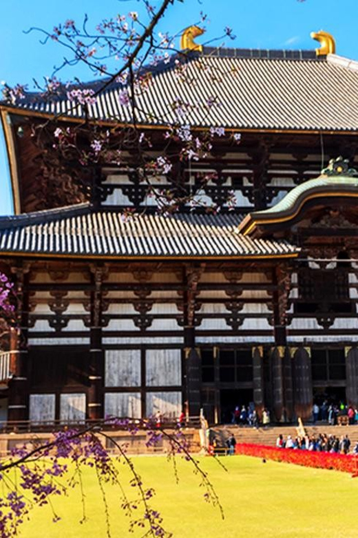 Osaka: Nara, Todaiji, Uji Matcha, and Hot Spring Tour - Roundtrip Transportation