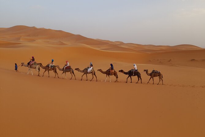 Overnight Camel Trek in Merzouga Dunes - Meeting and Pickup Logistics