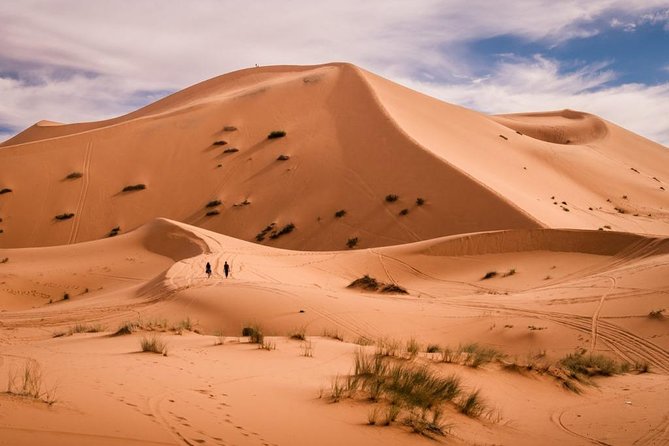 Overnight Camel Trekking in Merzouga - Customer Reviews and Ratings