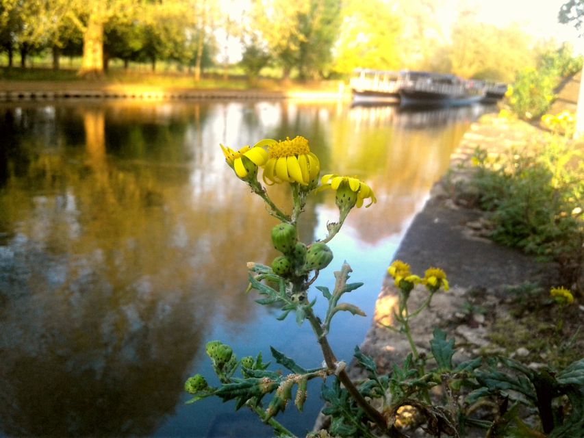 Oxford: River Cruise and Walking Tour to Iffley Village - Walking Tour