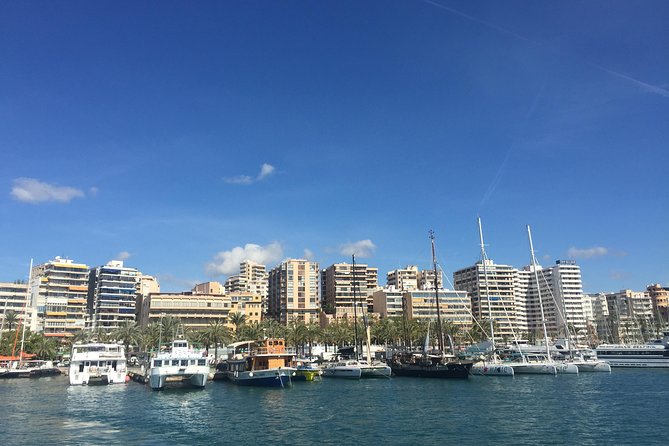 Palma De Mallorca Bay Boat Trip - Value for Money