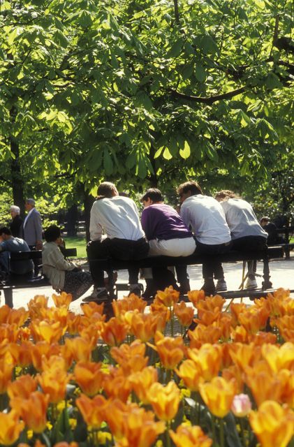 Paris Secret Gardens 1.30 Hour Long Walking Tour - Historical French Gardens