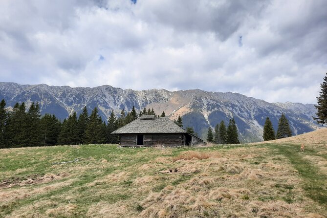 Pestera and Magura Full-Day Private Walking Tour From Brasov - Guest Reviews