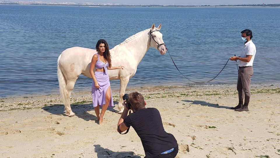 Photo Session With Horses on the Beach or in the Countryside - Recap