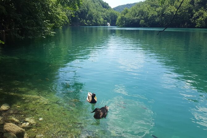 Plitvice Lakes Small Group Tour Ecco From Split or Trogir - Free Time for Exploration