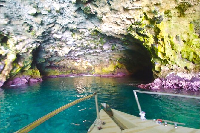 POLIGNANO by Boat: Amazing Sea Caves and Free Drinks! - Accessibility and Confirmation