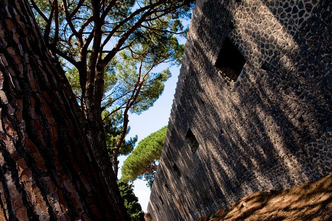 POMPEI TOUR Half Day - Departure From NAPLES Center (Entrance Ticket Included) - Highlights and Features