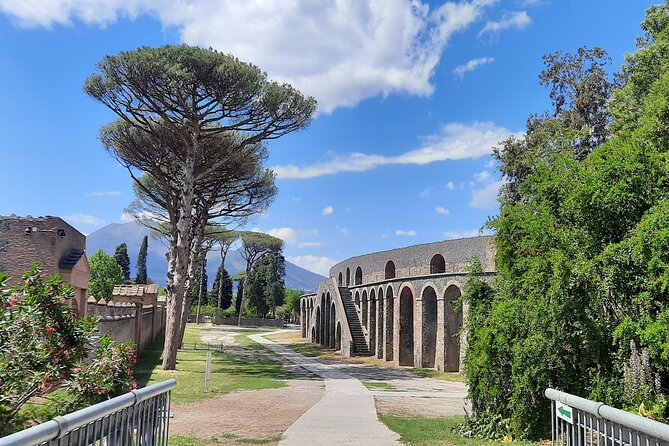 Pompeii for Kids - Private Tour - Why Choose This Tour