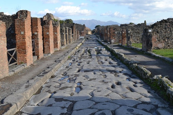 Pompeii the Ancient City (Tour+Transfer) - Guest Reviews