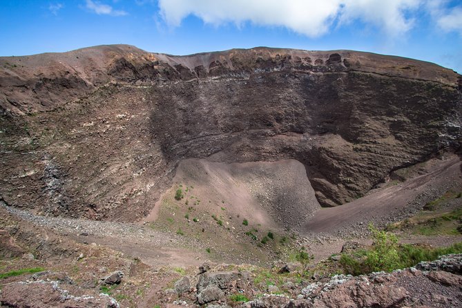 Pompeii, Vesuvius, Wine Tasting and Light Lunch All Inclusive - Tour Requirements and Additional Information