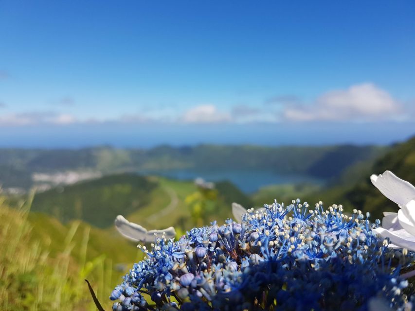 Ponta Delgada: Sete Cidades & Lagoa Do Fogo Tour - Frequently Asked Questions