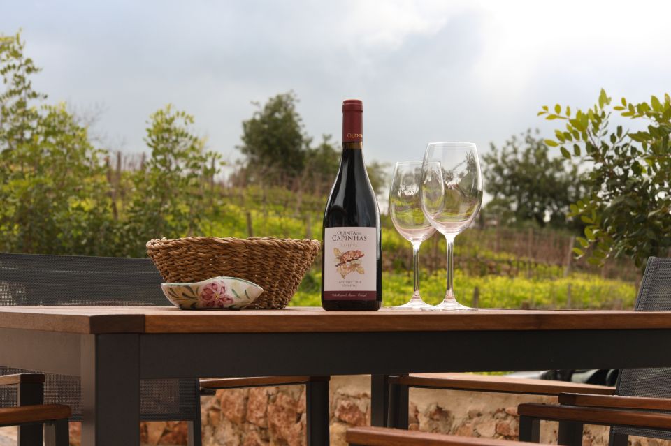 Porches: Algarve Vineyard Tour and Wine Tasting Experience - Winemaking Traditions and Terroir