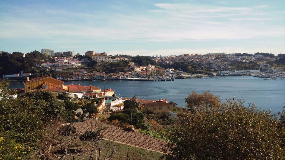 Porto: a Ride Along the Coast in a Fun Eco-Friendly Car - Tour Duration and Price